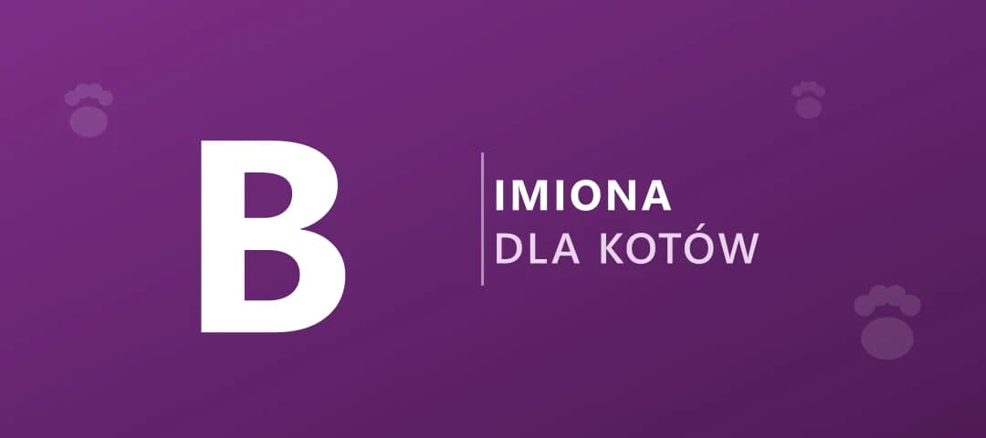 Imiona dla kotów na literę B