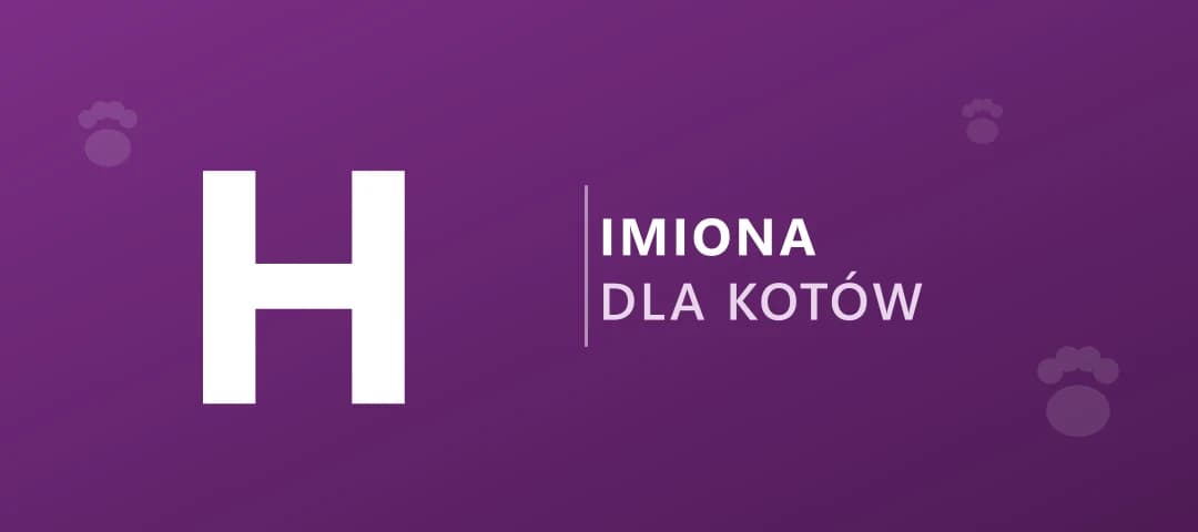 Imiona dla kotów na literę H