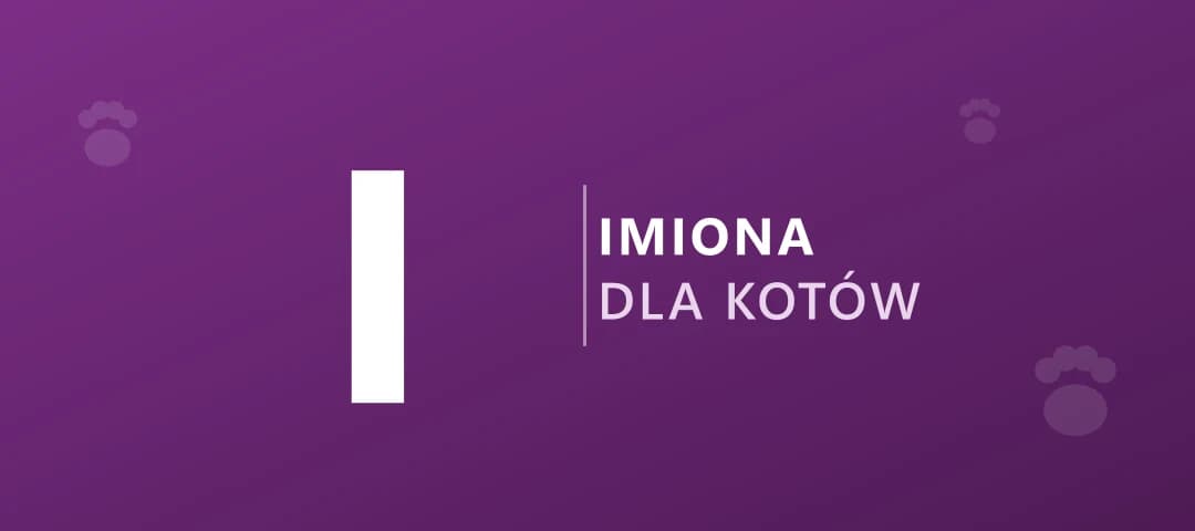 Imiona dla kotów na literę I