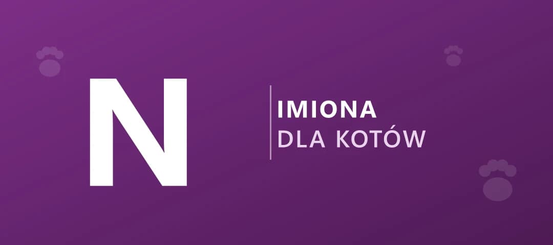 Imiona dla kotów na literę N