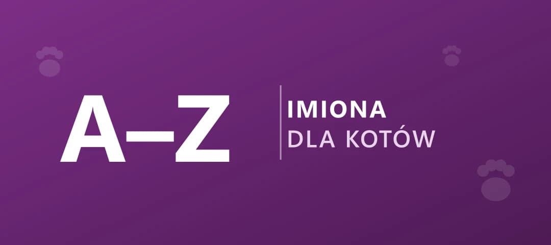 Imiona dla kota — ponad 800 imion dla kotki i kocura od A do Z