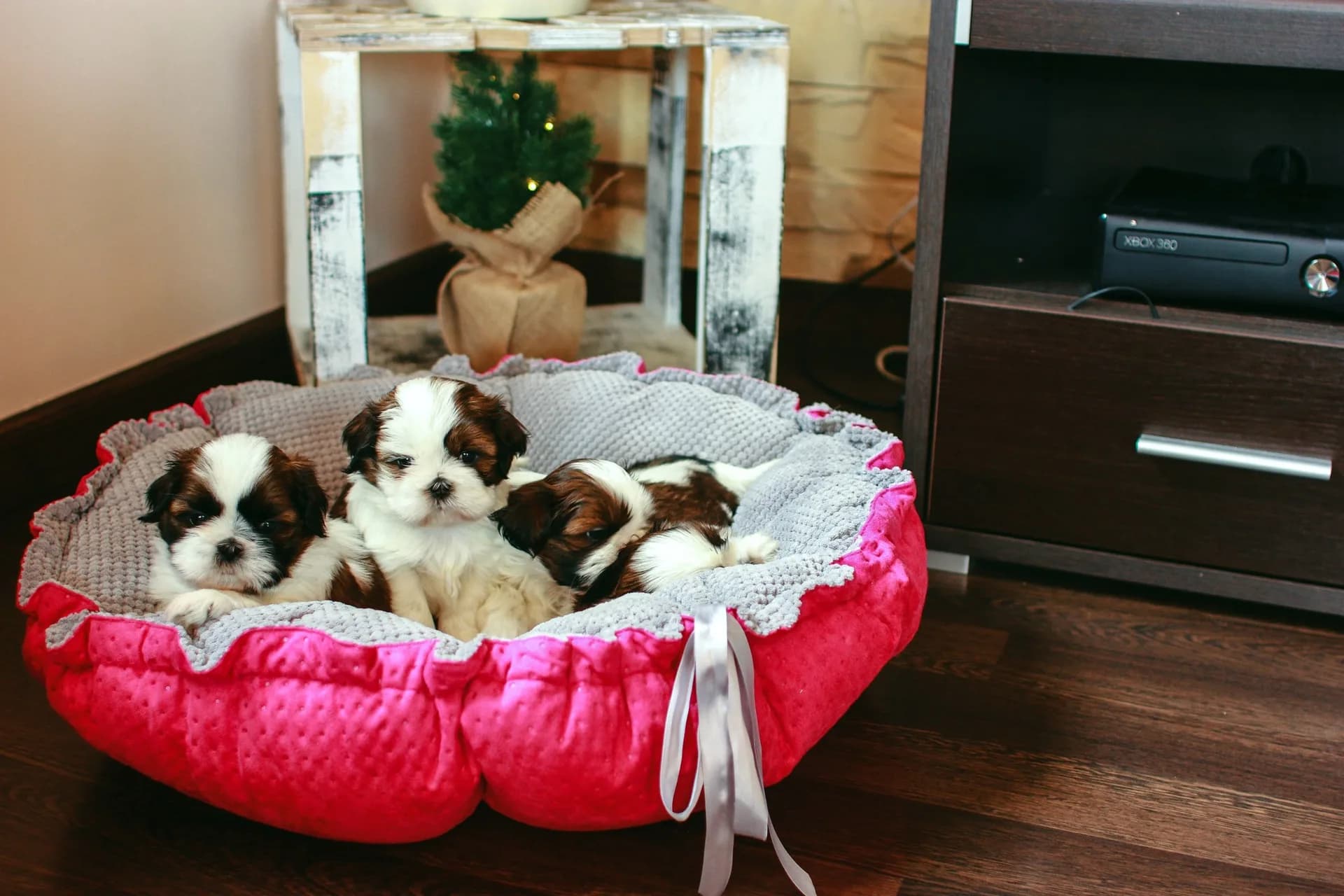 Lauren Design Legowisko pikowane dla kota i psa Daisy – różowy