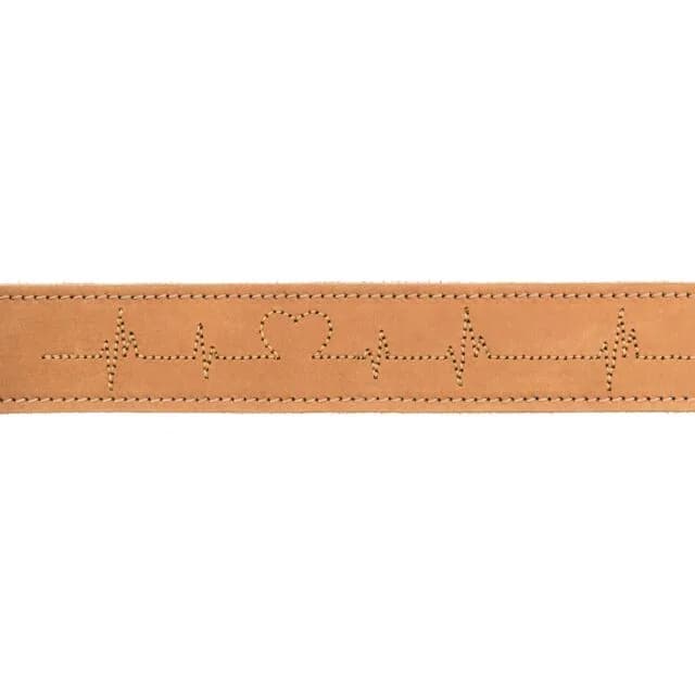 Trixie Rustic Heartbeat obroża dla psa z grubej skóry – brązowy, S-M