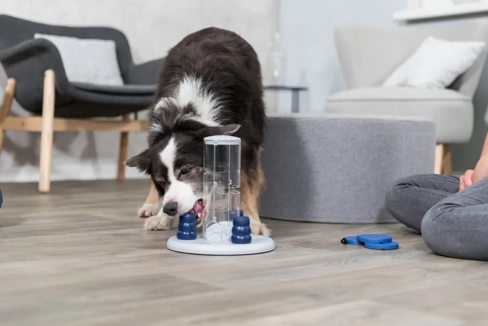 Trixie zabawka "Dog Activity Gambling Tower" 25 x 27 cm