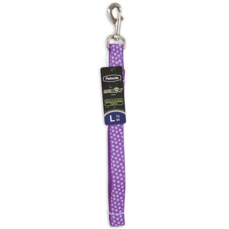 Petmate Smycz Max Glow Haft dla psa