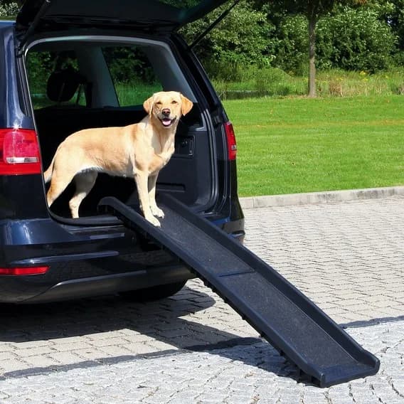 Trixie Składana rampa do samochodu umożliwiająca wyjście zwierzaka z bagażnika, z plastiku Friends on Tour, Petwalk
