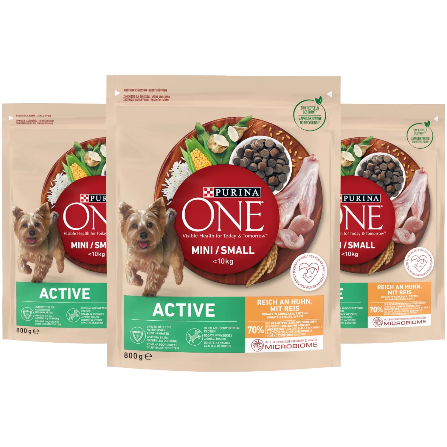 Purina ONE Mini Active karma sucha dla dorosłych psów małych ras bogata w kurczaka z ryżem 800 g