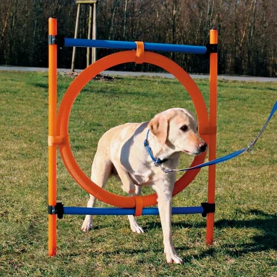 Trixie Koło zręcznościowe dla psa
