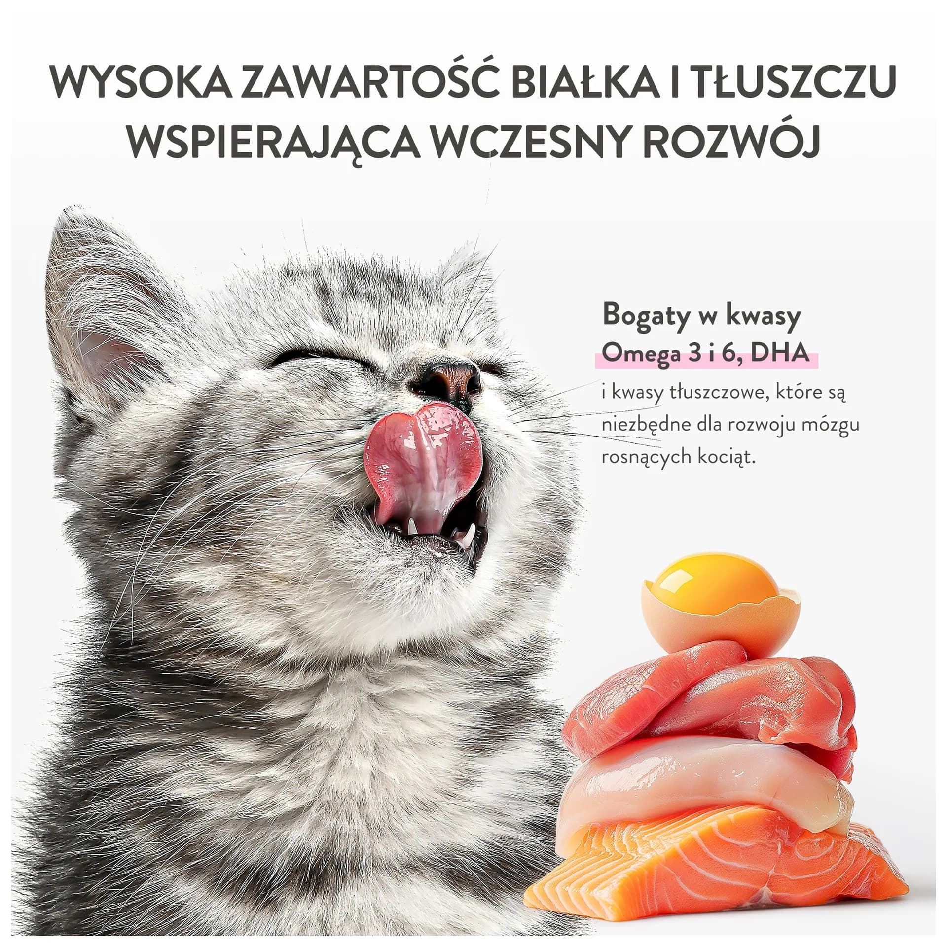 Schesir Baby Mousse karma mokra dla kociąt łosoś z kurczakiem 70 g
