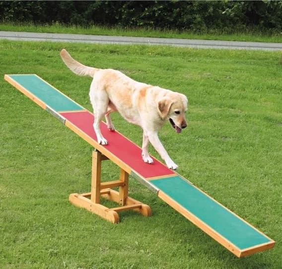 Trixie Fun Agility Huśtawka zręcznościowa dla psa
