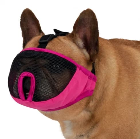 Trixie Kaganiec Muzzle dla psów ras krótkopyskich – S-M