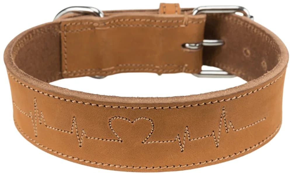 Trixie Rustic Heartbeat obroża dla psa z grubej skóry – brązowy, M