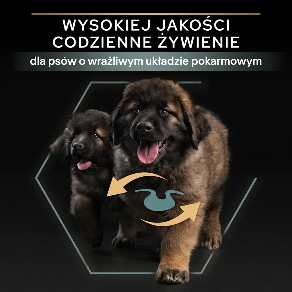 PRO PLAN Sensitive Digestion Large Robust Puppy karma dla szczeniąt bogata w jagnięcinę 12 kg