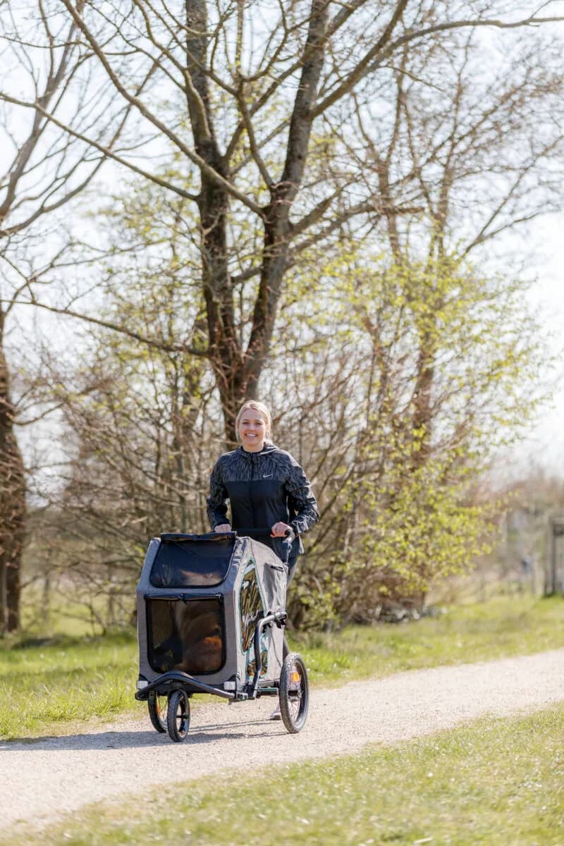 Trixie Przyczepka rowerowa dla psa – szary / szałwia, S