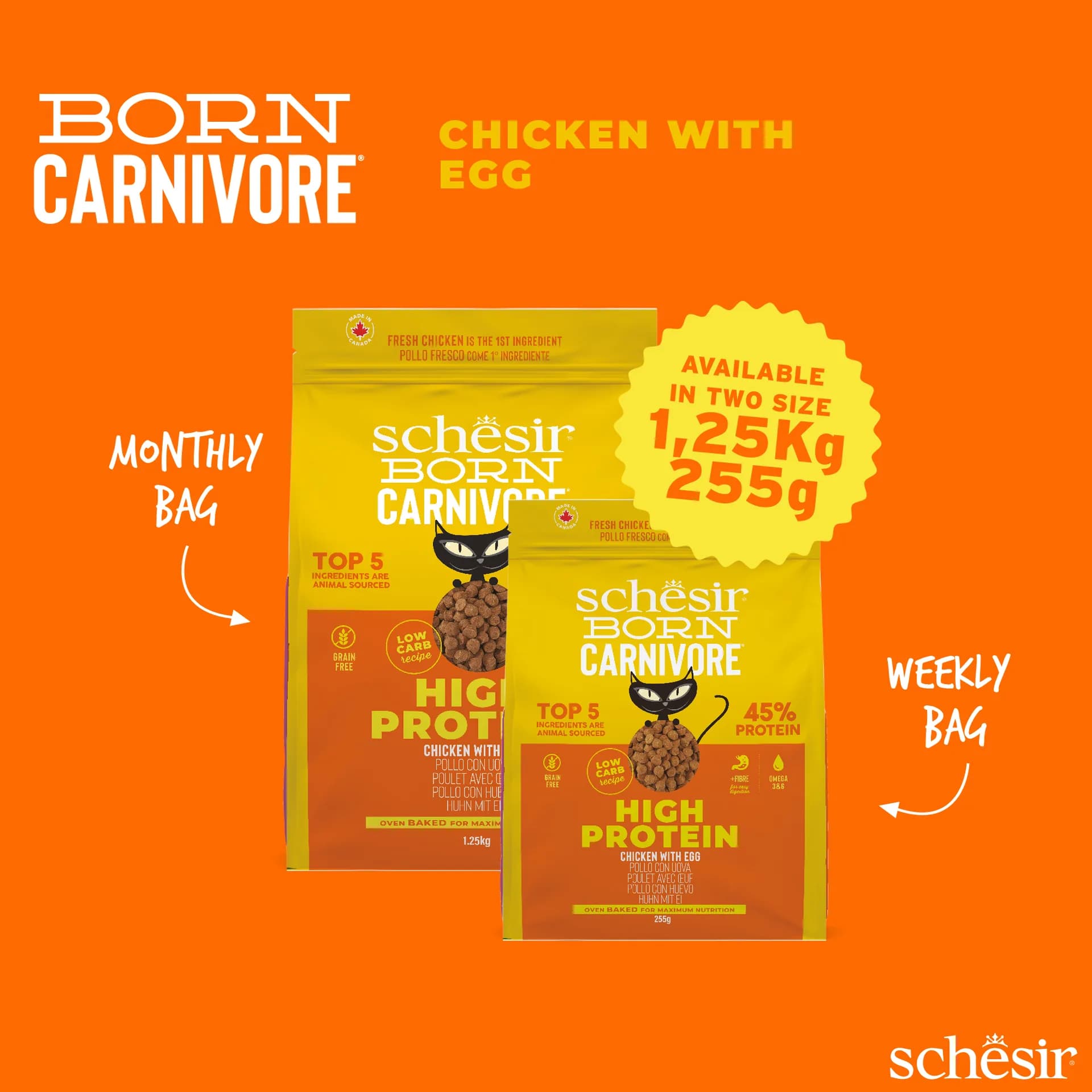 Schesir Carnivore karma sucha dla kótów dorosłych kurczak z jajkiem – 1,25 kg