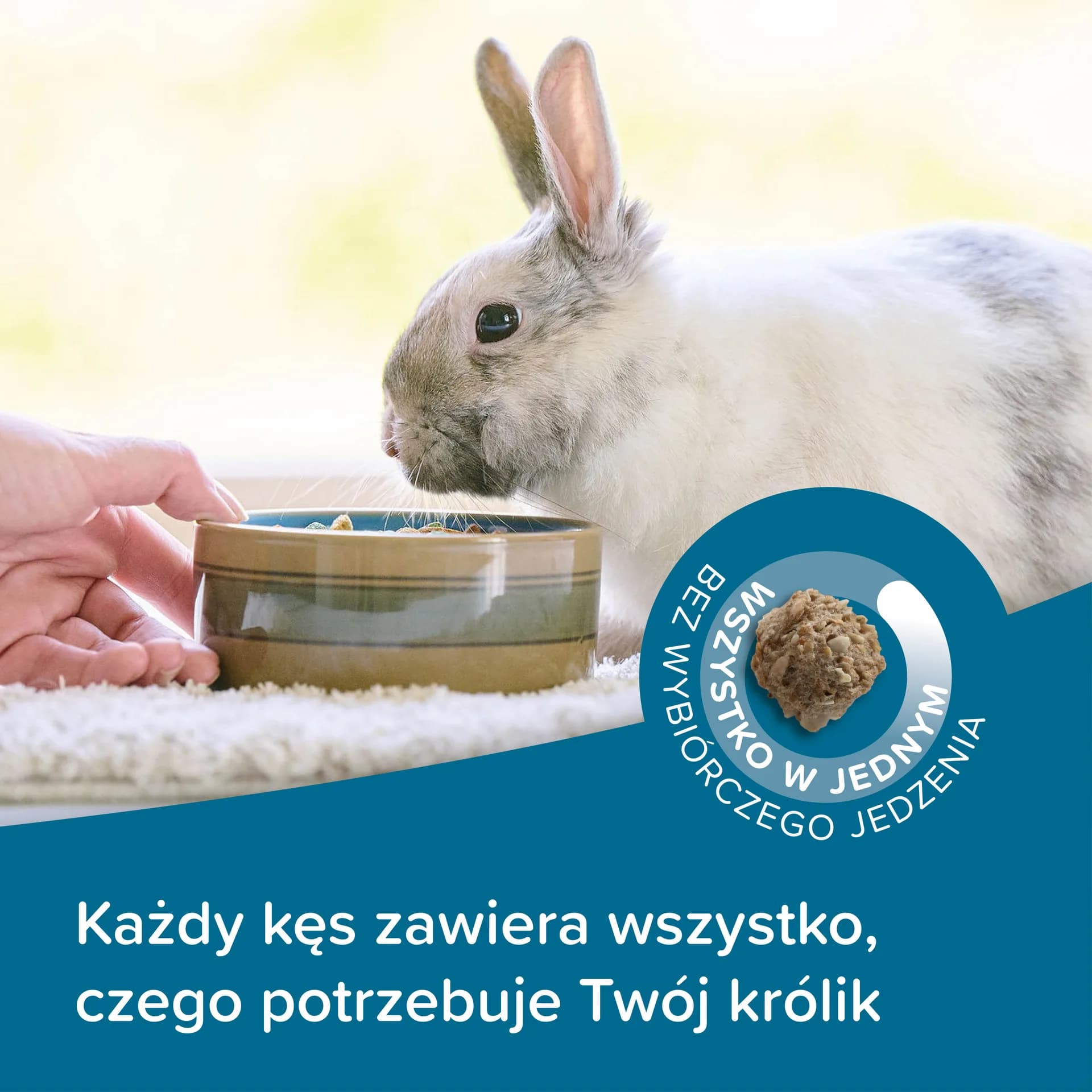 Beaphar Care+ Rabbit Junior karma Super Premium dla młodego królika – 1,5 kg