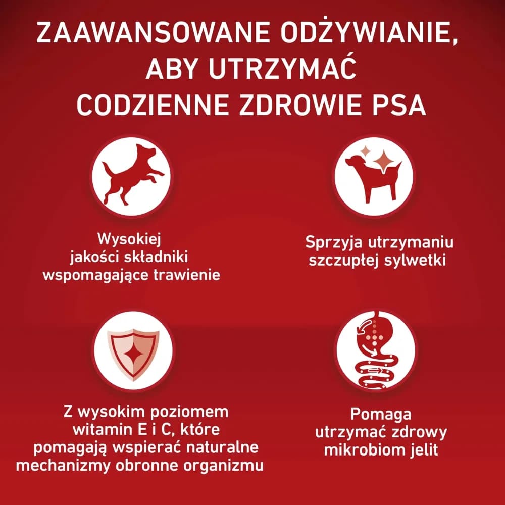 Purina ONE Weight Control/Sterilized Medium/Maxi karma sucha dla dorosłych psów bogata w indyka z ryżem 2,5 kg