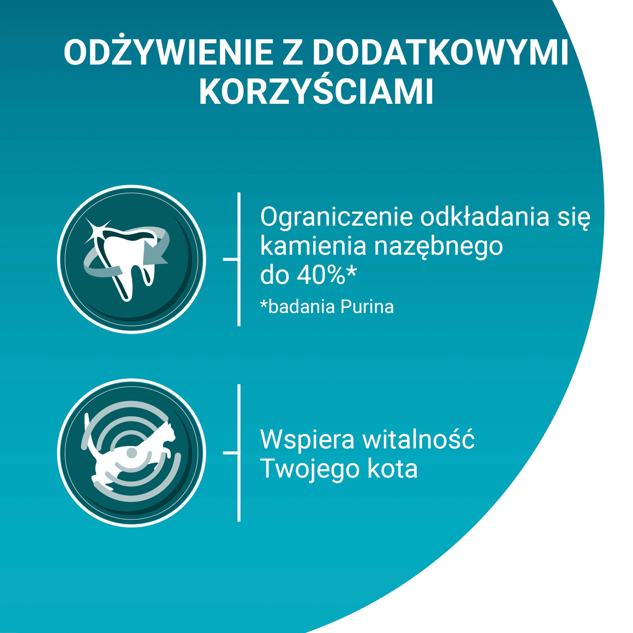 Purina ONE Adult Bifensis karma sucha z kurczakiem dla dorosłych kotów 9 75 kg