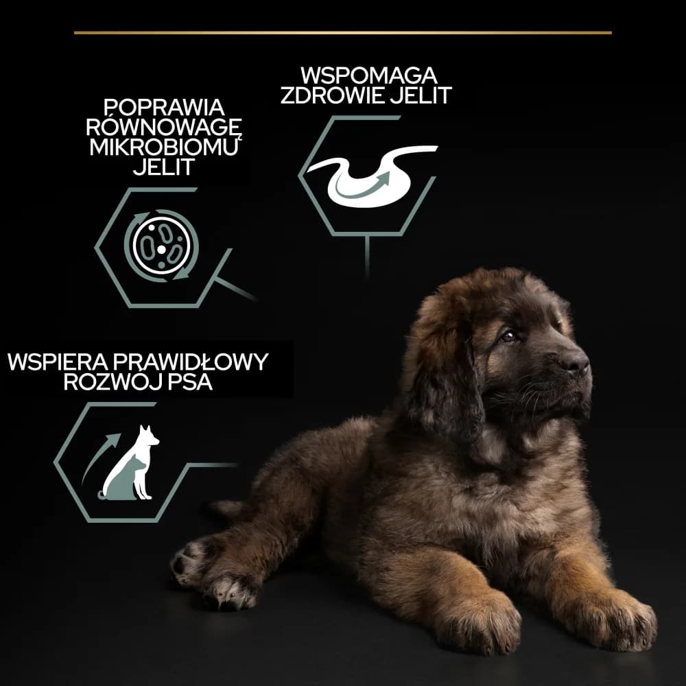 PRO PLAN Sensitive Digestion Large Robust Puppy karma dla szczeniąt bogata w jagnięcinę 12 kg