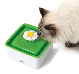 Catit Fontanna 2.0 Flower Fountain Mini dla kota od Hagen