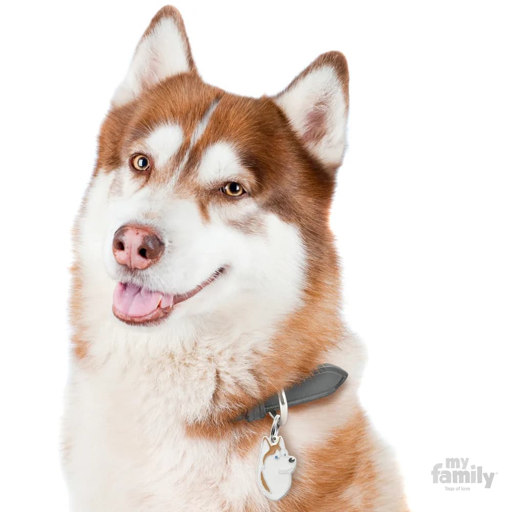 My Family Adresówka Friends Siberian Husky – brązowy