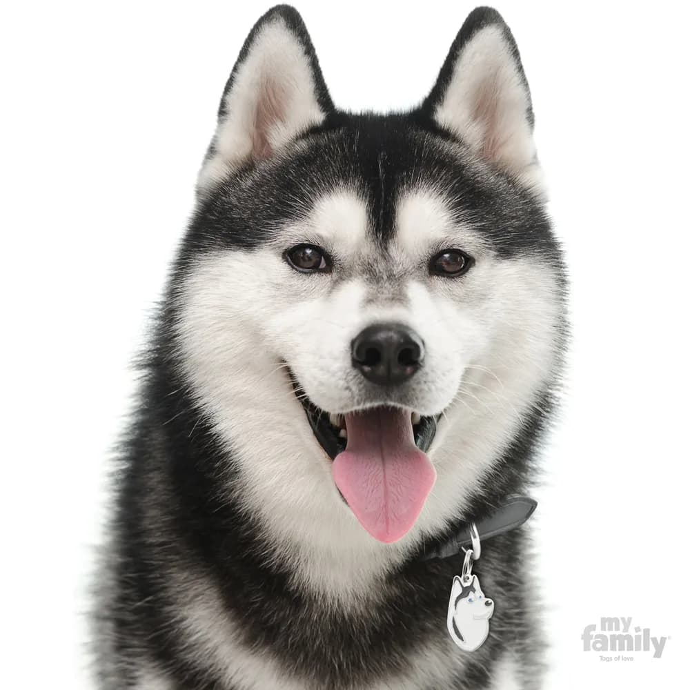My Family Adresówka Friends Siberian Husky – czarny
