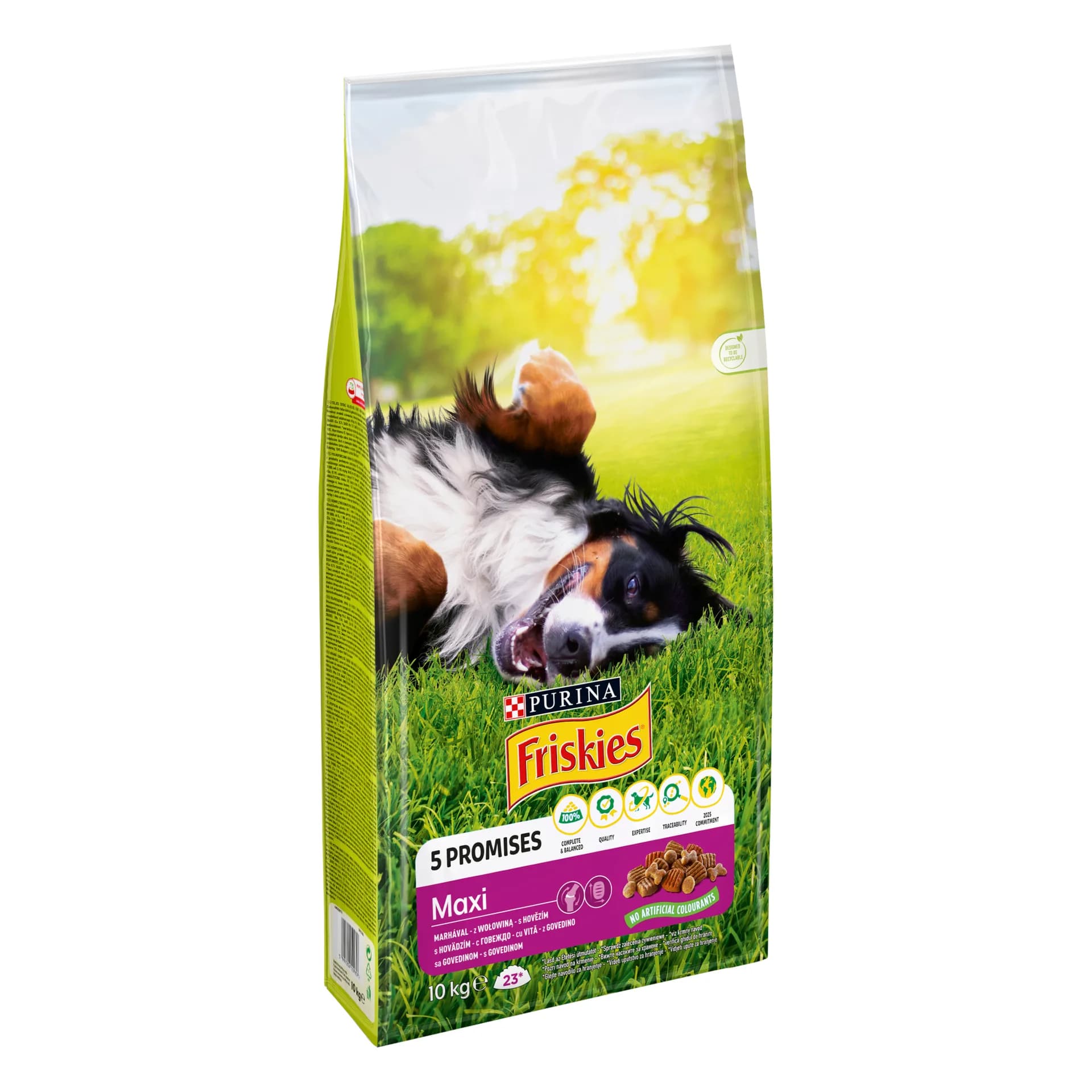 Friskies Purina Maxi dla dużego psa 10 kg