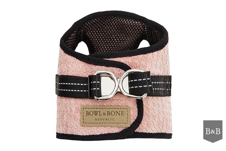 Bowl&Bone Szelki Soho dla psa – kremowy, XS