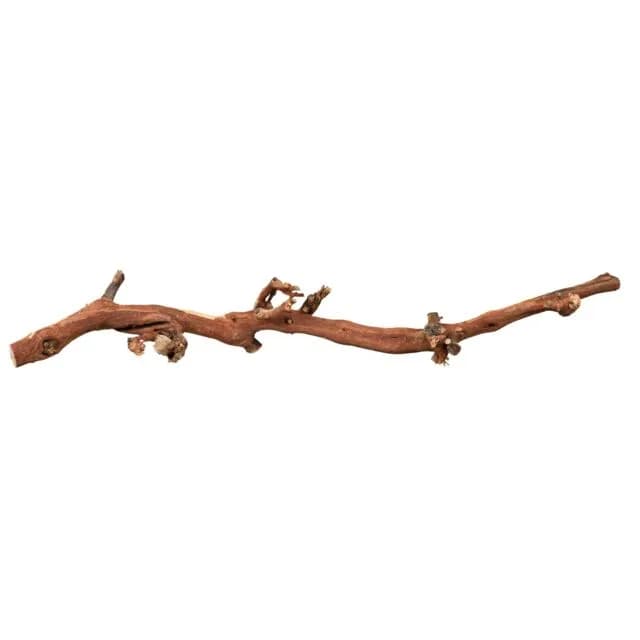 Trixie Korzenie winorośli piaskowane rozm. 3 45-70 cm 5 szt.