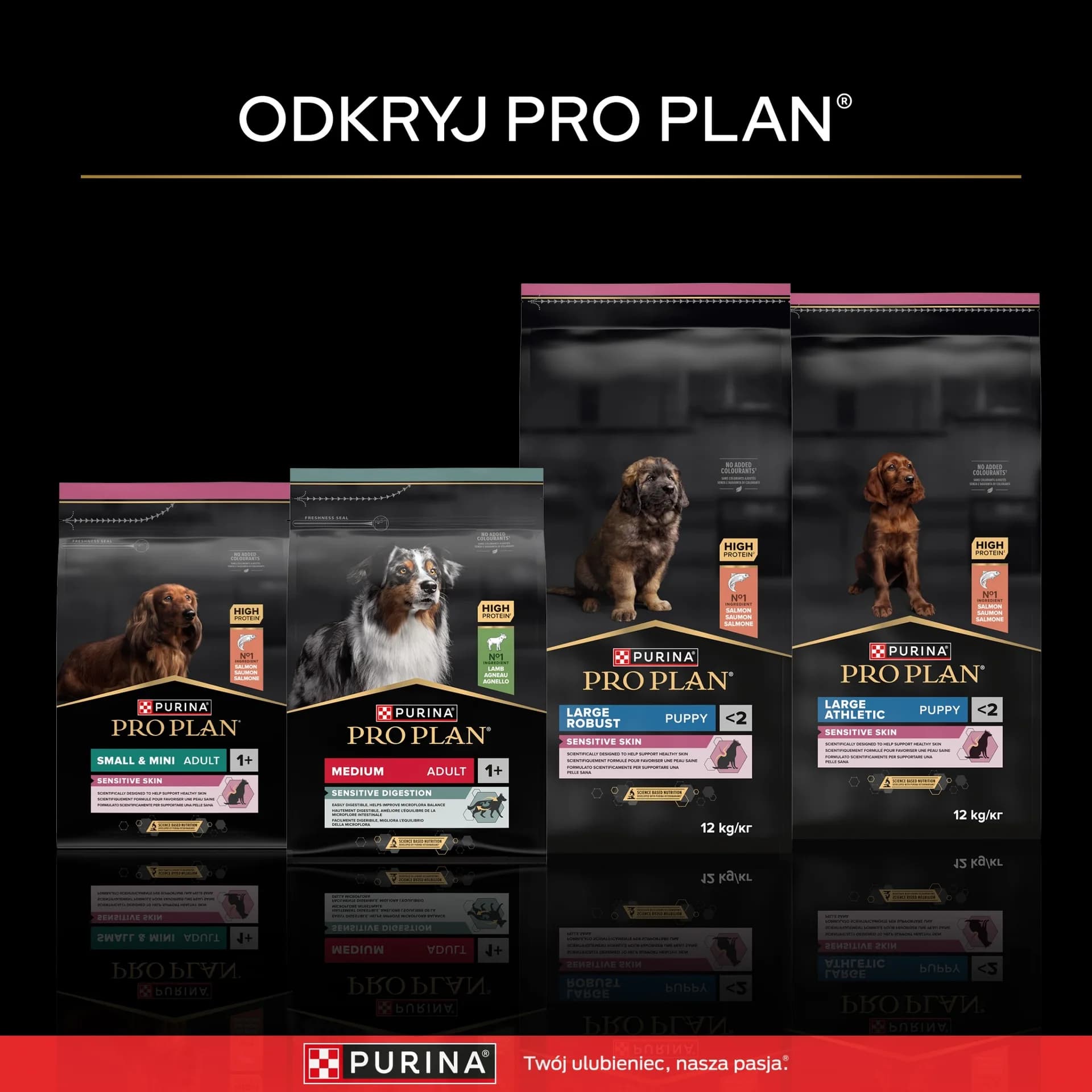PRO PLAN Sensitive Skin Puppy karma dla szczeniąt bogata w łososia 12 kg