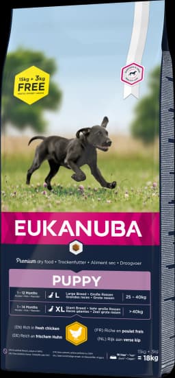 Eukanuba Sucha karma dla szczeniąt dużych ras świeży kurczak 15+ 3 kg