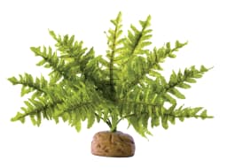 Exo-Terra Roślina sztuczna Paproć Boston Fern