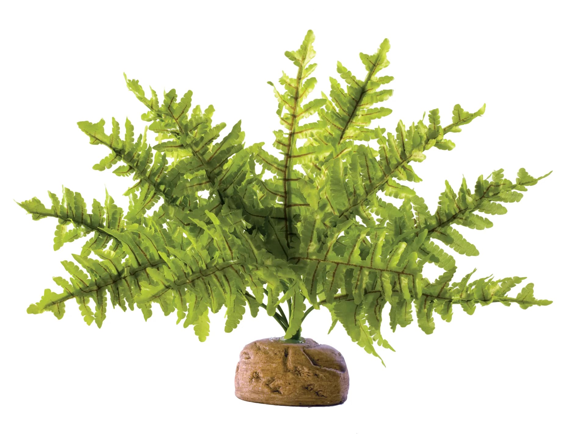 Exo-Terra Roślina sztuczna Paproć Boston Fern
