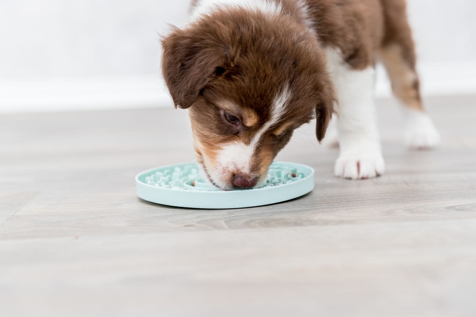Trixie Junior Taca Licking Plate Lick’n'Snack