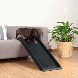 Trixie Rampa dla psa 38 x 100 cm
