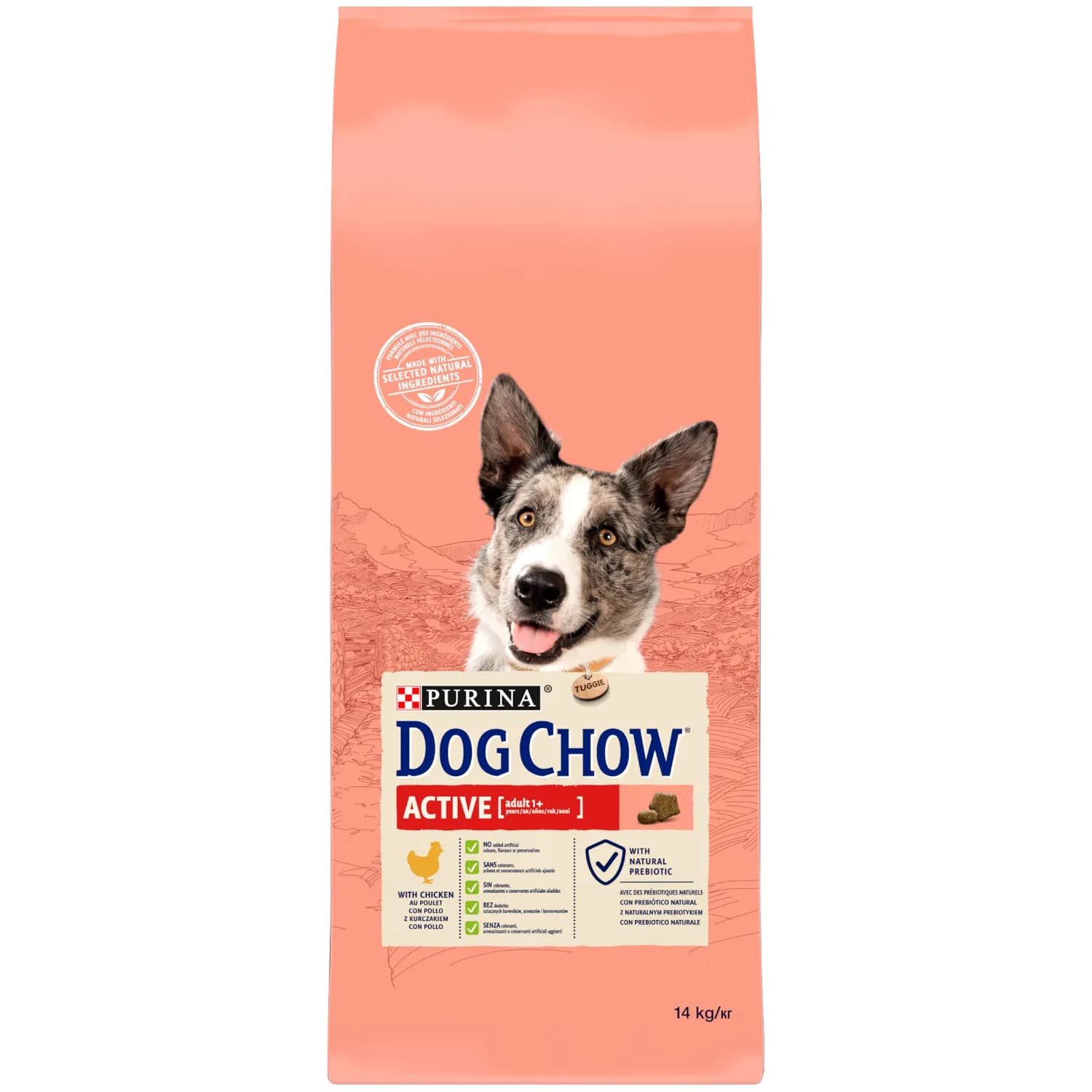 Dog Chow Purina Active z kurczakiem dla psa 14 kg