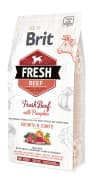 Brit Fresh Beef with Pumpkin Puppy Large - karma sucha z wołowiną i dynią dla szczeniąt dużych ras