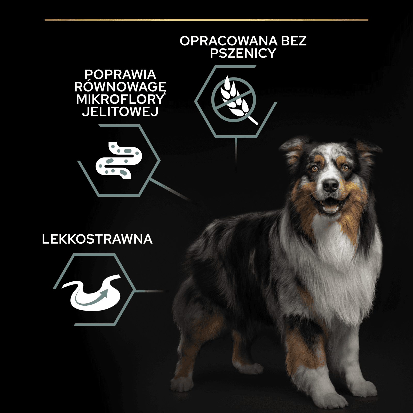PRO PLAN Purina Medium & Large Adult Sensitive Opti Digest Indyk 2,5 kg