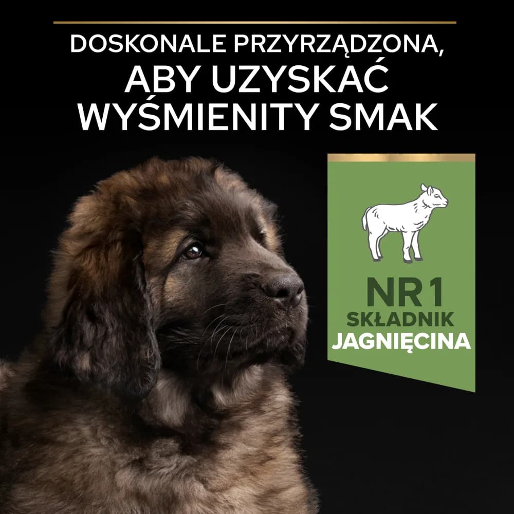 PRO PLAN Sensitive Digestion Large Robust Puppy karma dla szczeniąt bogata w jagnięcinę 12 kg