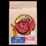 Purina ONE Adult Mini/Small Karma dla dorosłych psów bogata w wołowinę z ryżem