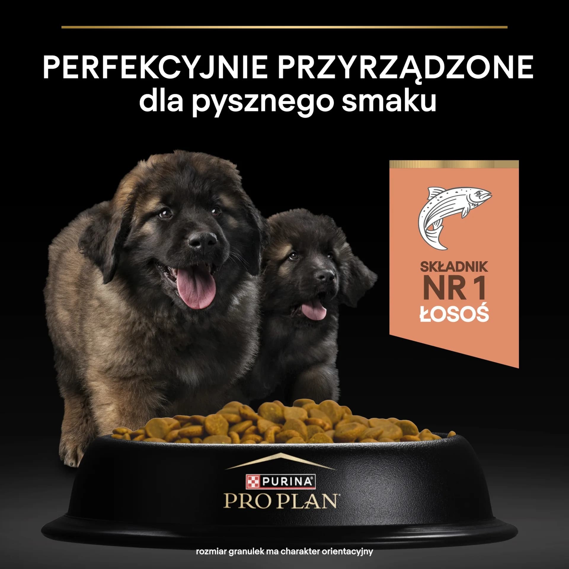 PRO PLAN Sensitive Skin Puppy karma dla szczeniąt bogata w łososia 12 kg