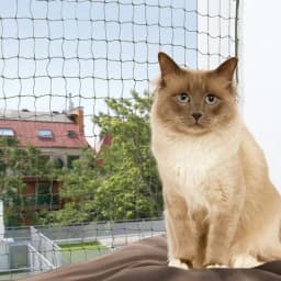 Trixie Ochronna siatka dla kota wzmocniona