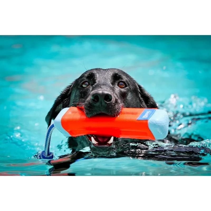 Chuckit Aporter Amphibious Bumper dla psa