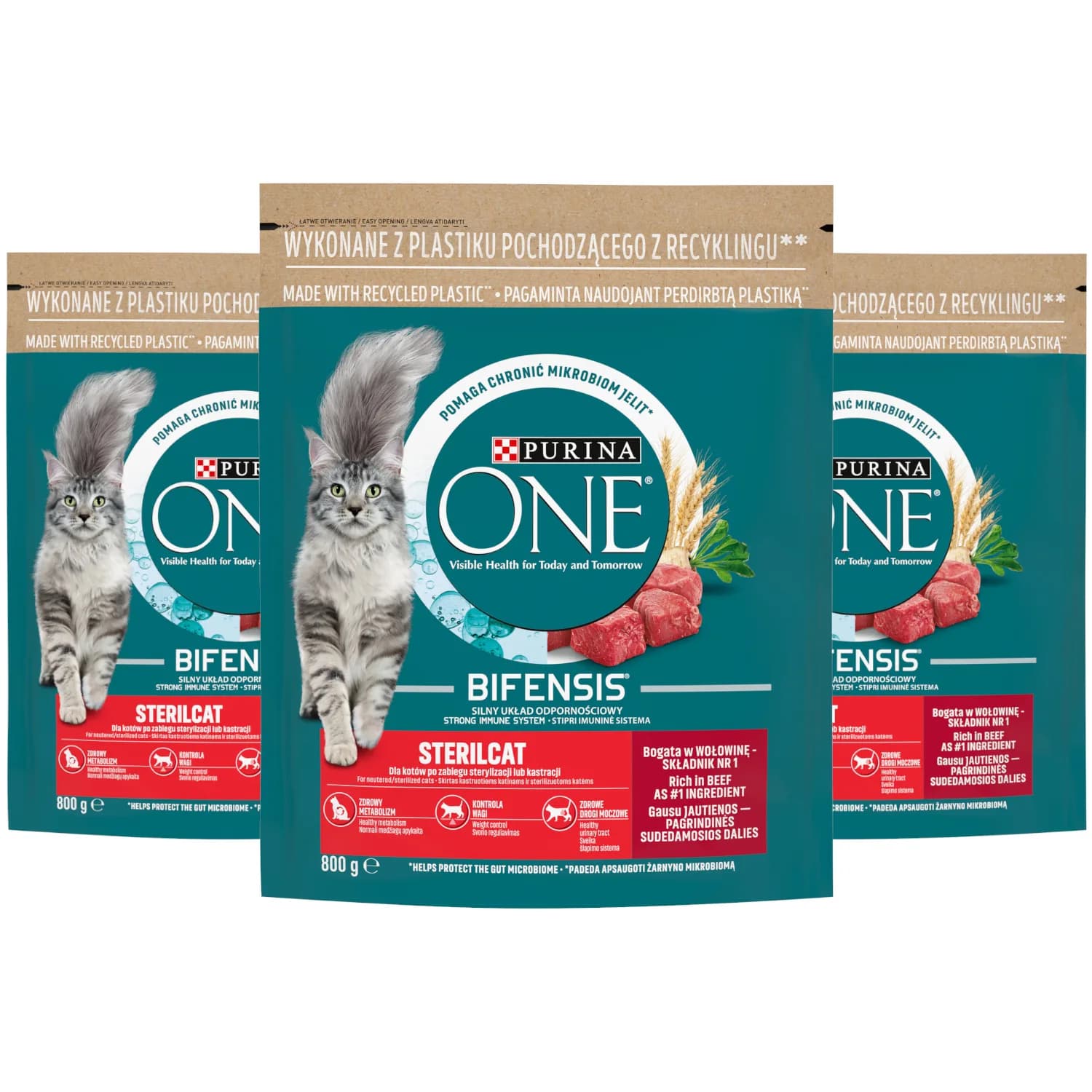 Purina ONE Sterilcat Bogata w wołowinę i pszenicę – 800 g