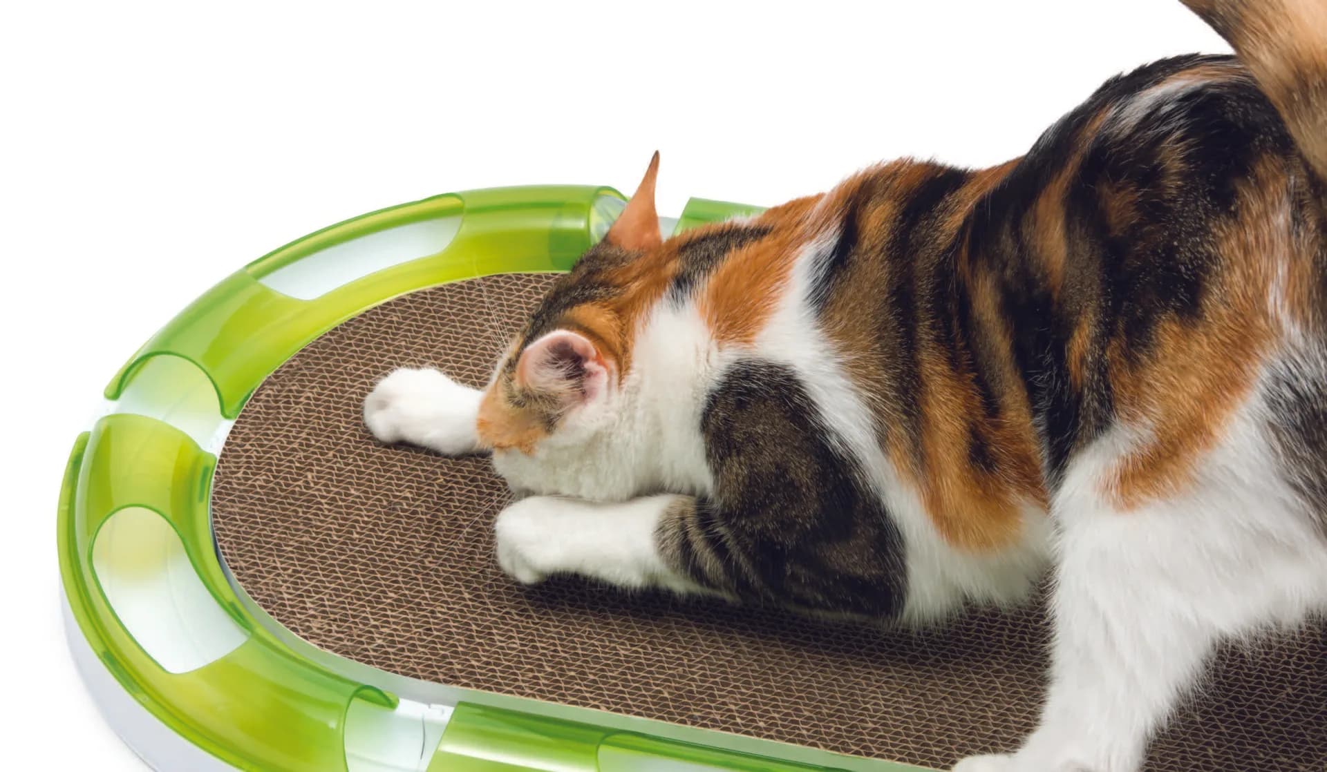 Catit Senses 2.0 Oval Scratcher drapak kartonowy dla kota od Hagen