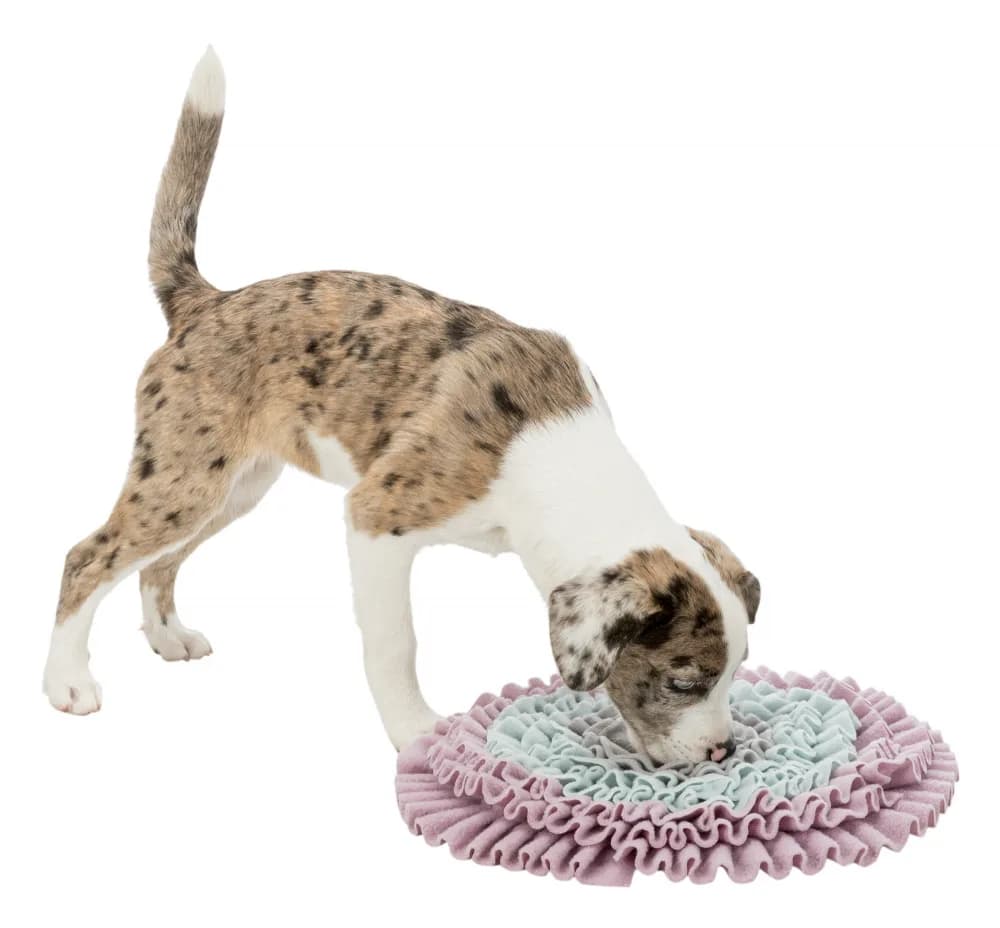 Trixie Gra aktywizująca Junior Sniffing Carpet Ø 38 cm