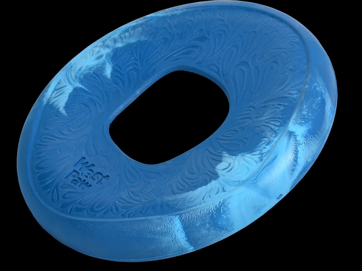 West Paw Seaflex duży Dysk niebieski 22 cm
