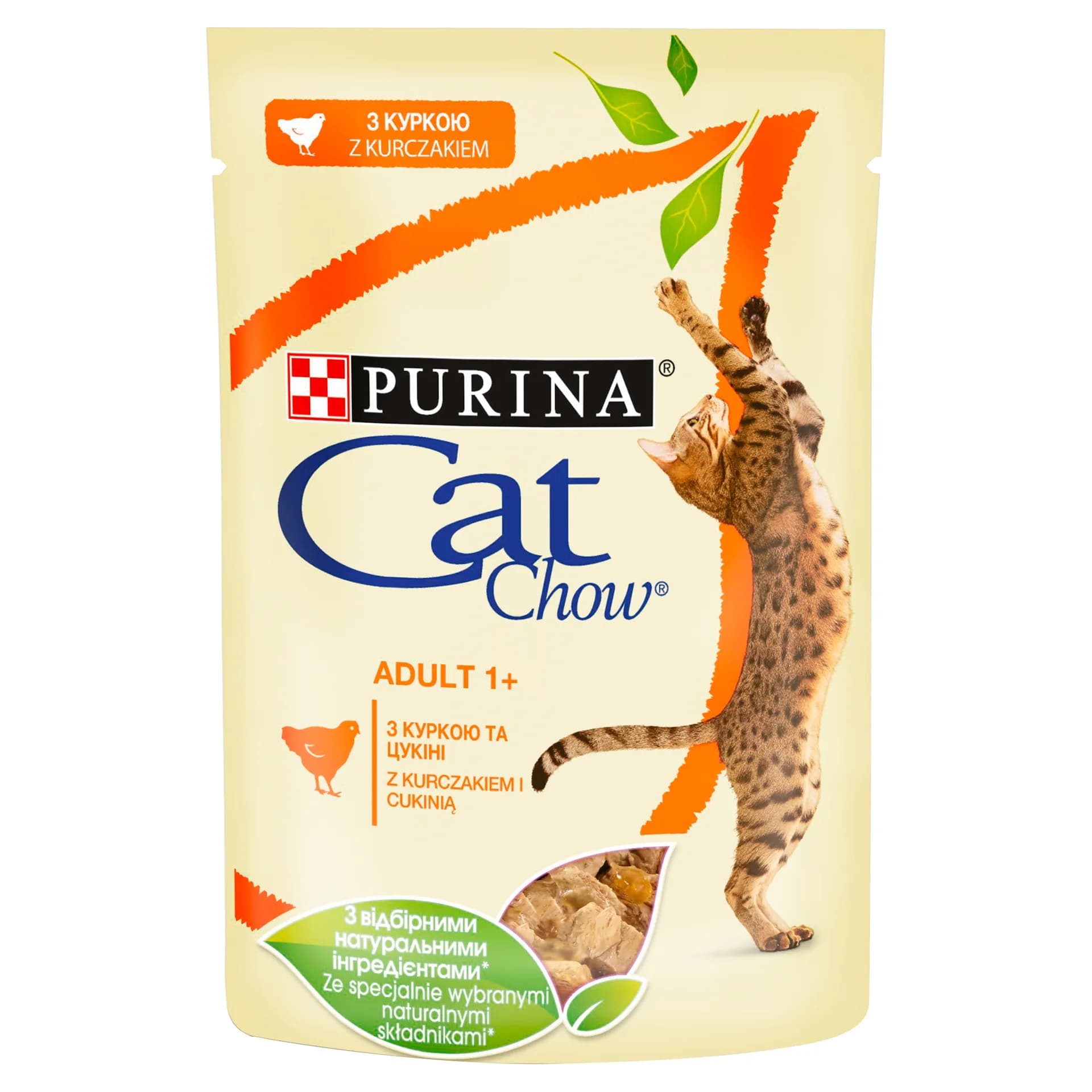 Cat Chow Purina Adult karma mokra dla dorosłych kotów kurczakiem i cukinią w galaretce 85 g