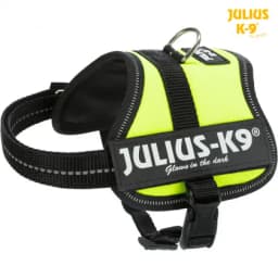 Julius K-9 Powerharness szelki dla psa