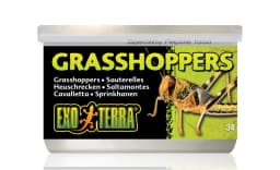 Exo-Terra Pokarm w puszce z konikiem polnym 34 g